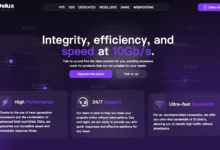 deluxhost，荷兰大硬盘VPS特价优惠低至€17/年，荷兰阿姆斯特丹，1Gbps带宽/不限流量-草根吧VPS_最新VPS信息参考